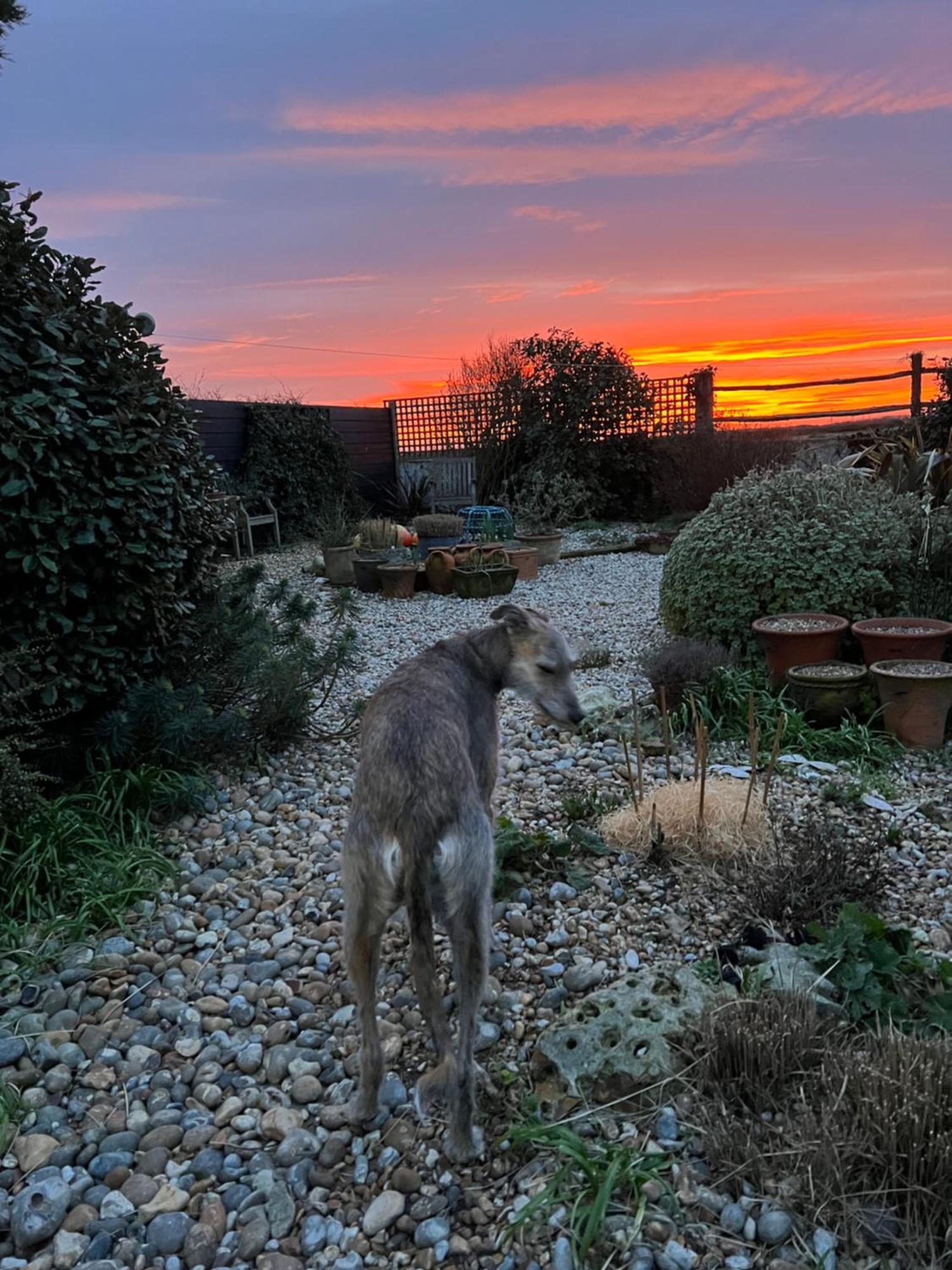 Pluto House Bed & Breakfast Dungeness ภายนอก รูปภาพ