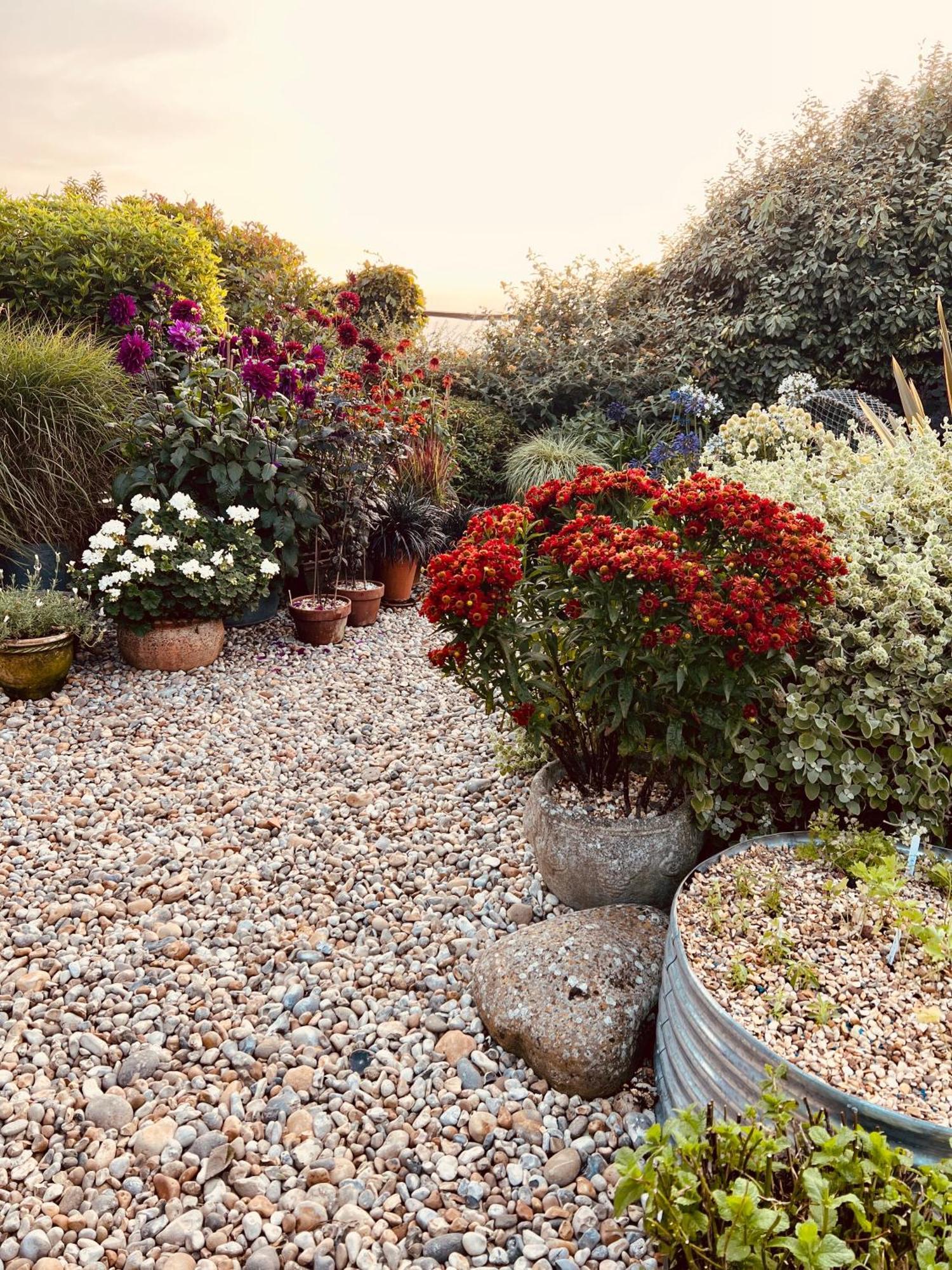 Pluto House Bed & Breakfast Dungeness ภายนอก รูปภาพ